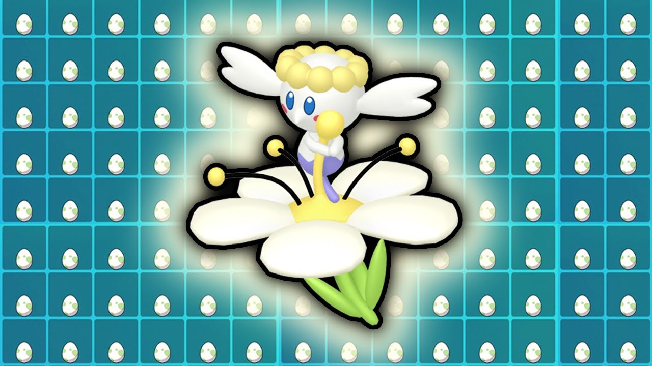 【ウルボ色厳選】国際孵化で白フラベベのタマゴを割りまくる（＋アローラサンド連鎖）