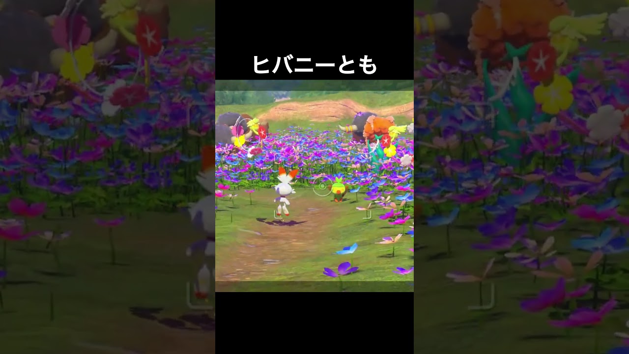 友達が多いサルノリ #サルノリ #ピチュー　#ヒバニー