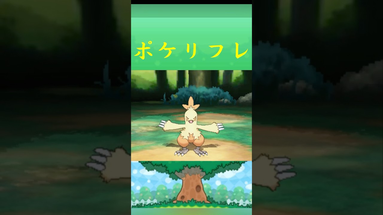 ポケモン ワカシャモ ポケリフレ ポケパルレ #ポケモン #Pokemon  #3DS #ポケモン技 #ポケモンsv #ポケモン #ふれあい