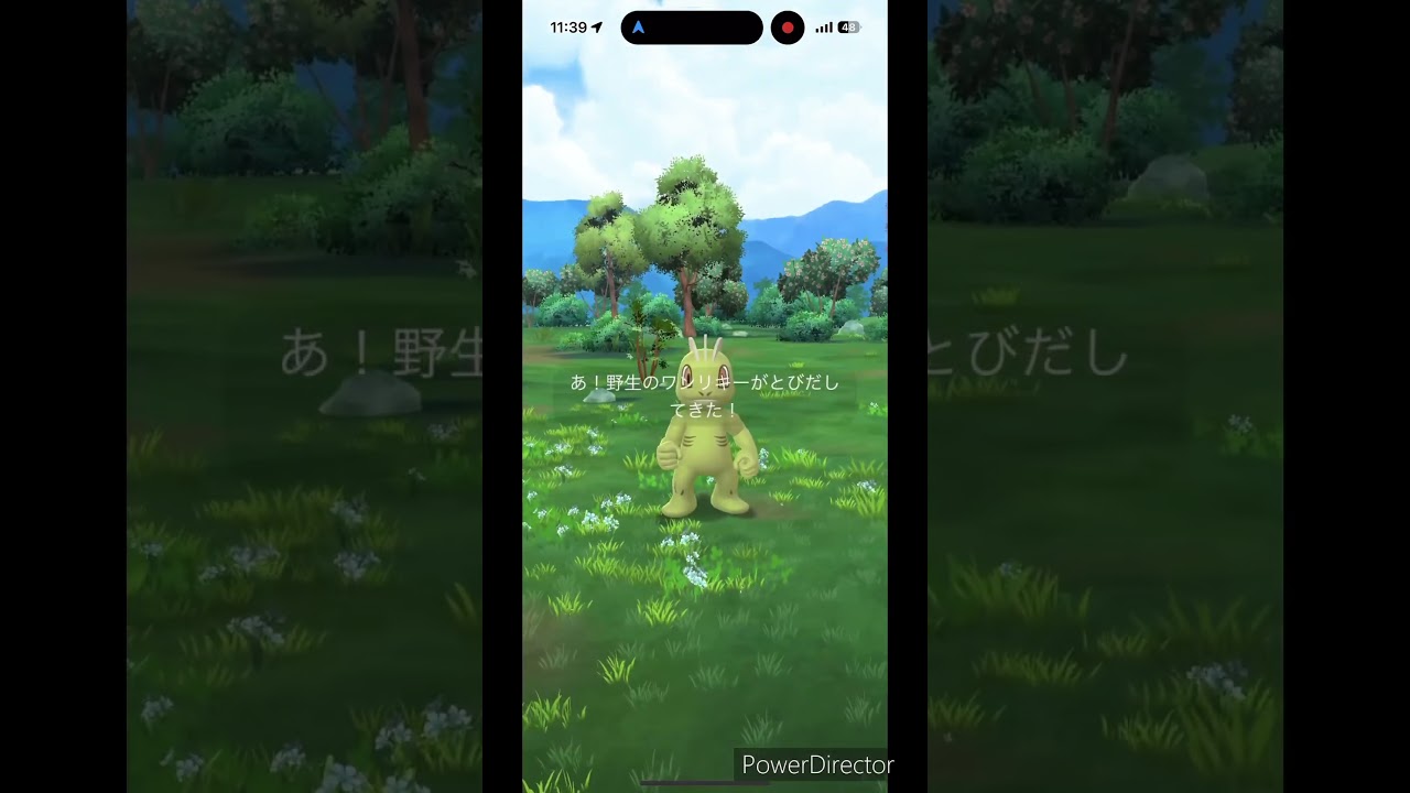 色違いポケモンワンリキー #pokemon #色違い #ポケモン #ワンリキー