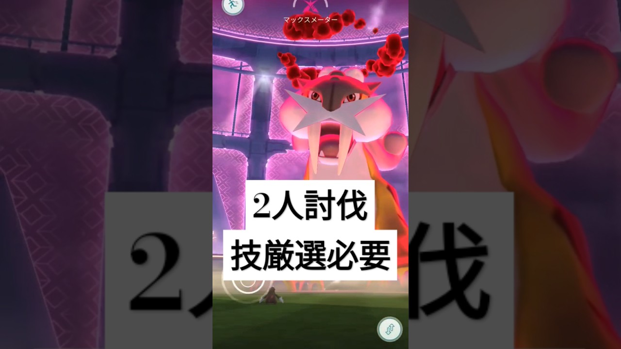 【2人討伐】ダイマックスライコウ　ドリュウズ3体構成が必須　シャドボは入り直し！