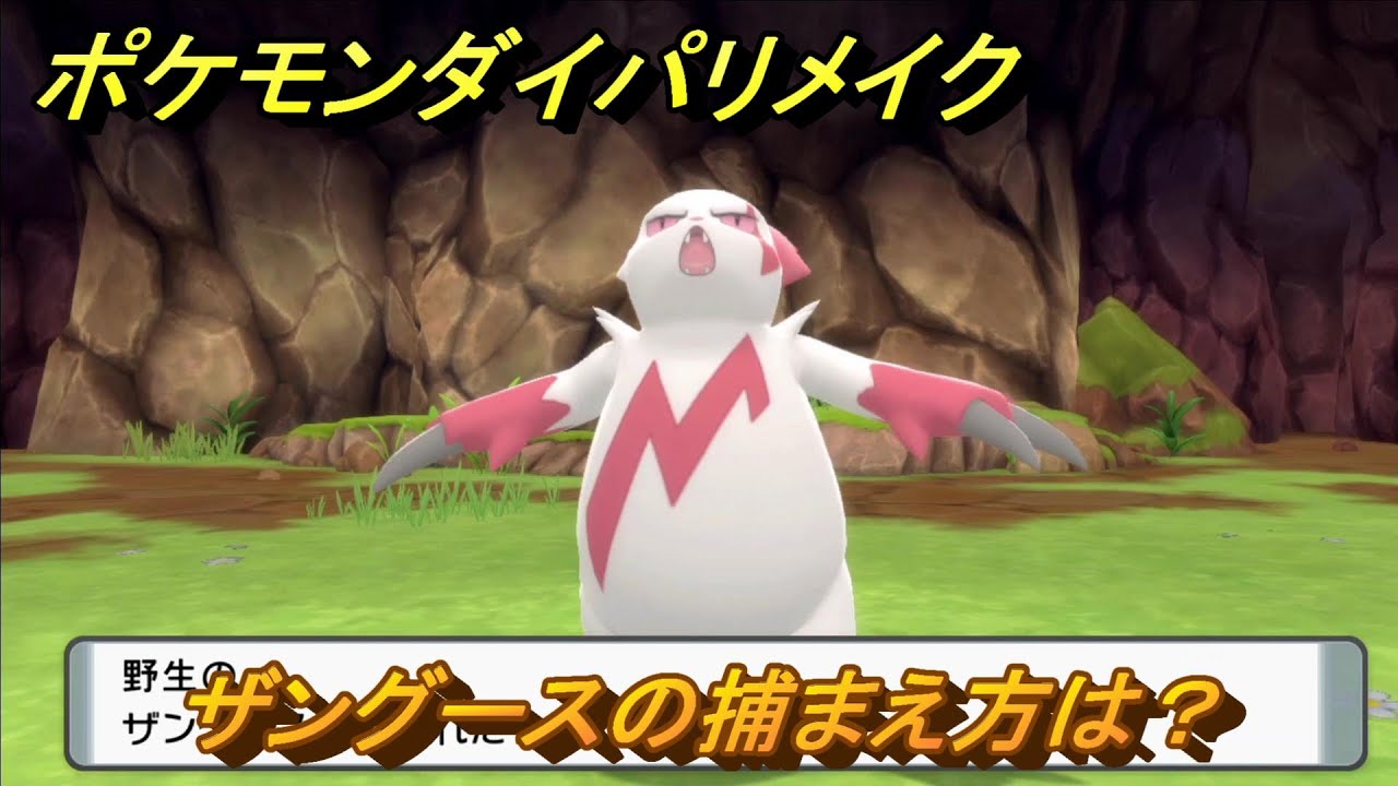 ポケモンダイパリメイク　ザングースの捕まえ方は？出現場所は？　最新版【ブリリアントダイヤモンド・シャイニングパール】