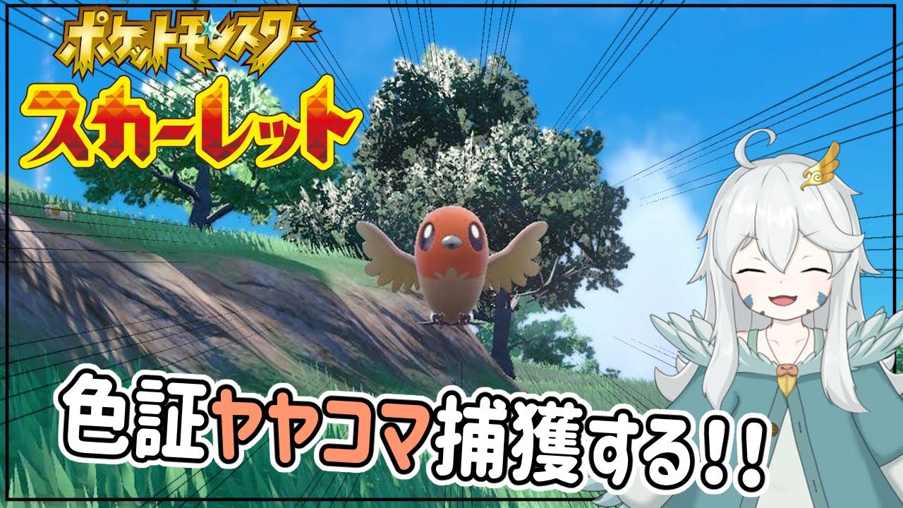 【ポケモンSV】深夜の色証ヤヤコマ探し！！【初見歓迎】