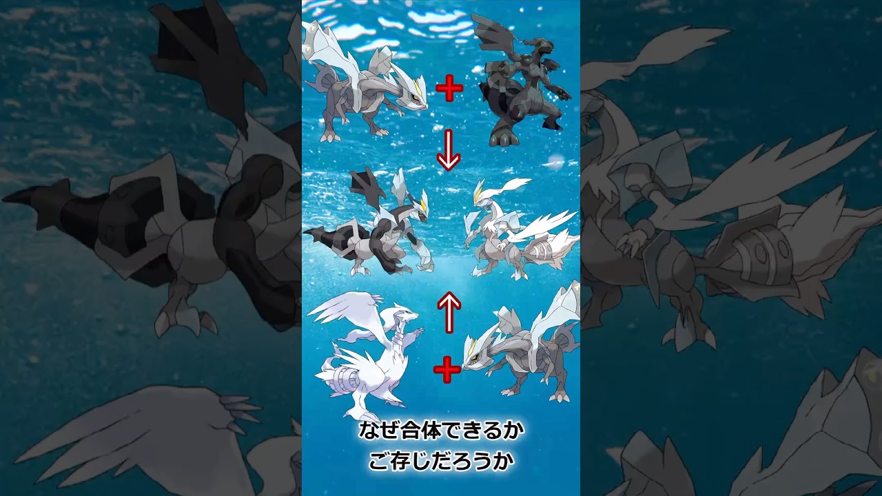 キュレムが合体できる理由知ってる？？？【ポケモン】 #ポケモン #pokemon
