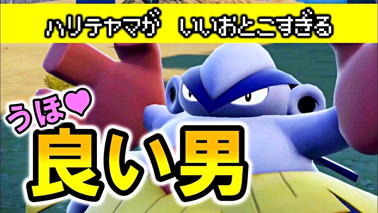 うほ♡ハリテヤマが良い男すぎる【ポケモン生態解説】