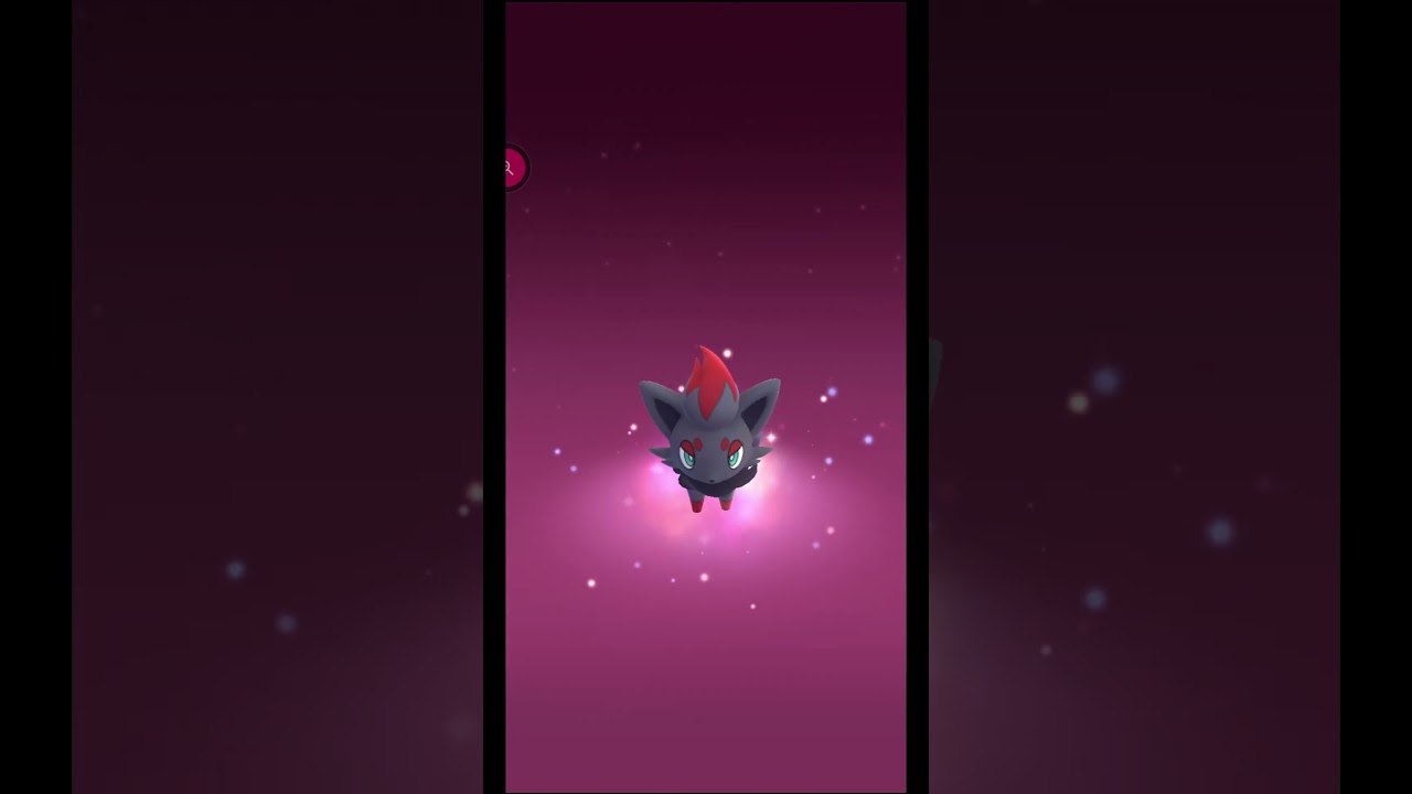 ＃shorts◇相棒をゾロアークにしてゾロアが出ると損した気分になる【ポケモンGO】＃668