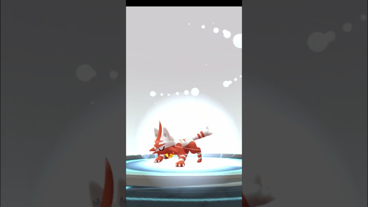 色違いのニャビーをガオガオンに進化させてみた！　#ポケモンGO #色違い #pokemongo