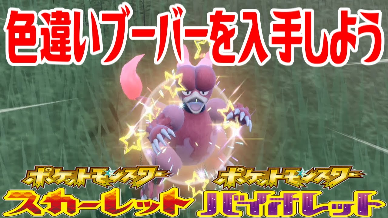【ポケモンSV】色違いブーバーを入手しよう【ポケットモンスター スカーレット・バイオレット ゼロの秘宝 藍の円盤】Pocket Monsters