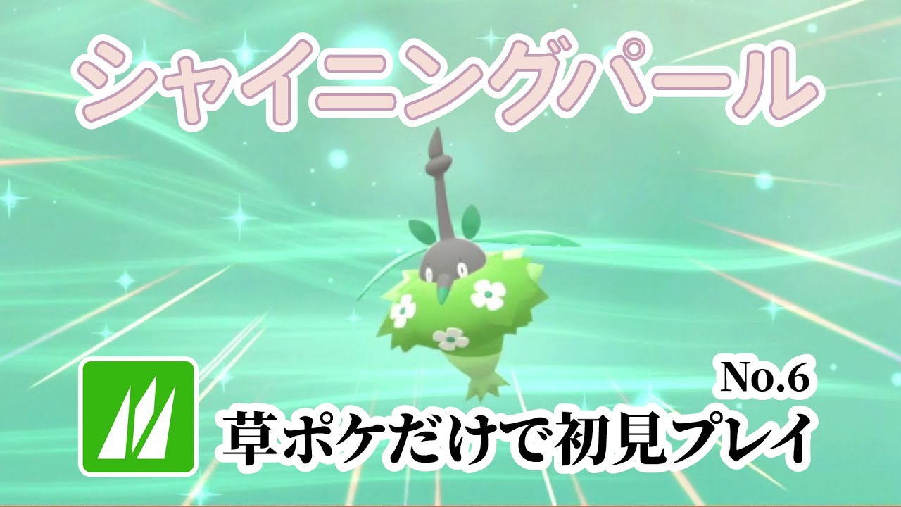 草ポケモンだけで初見シャイニングパール No.6 2025/3/16