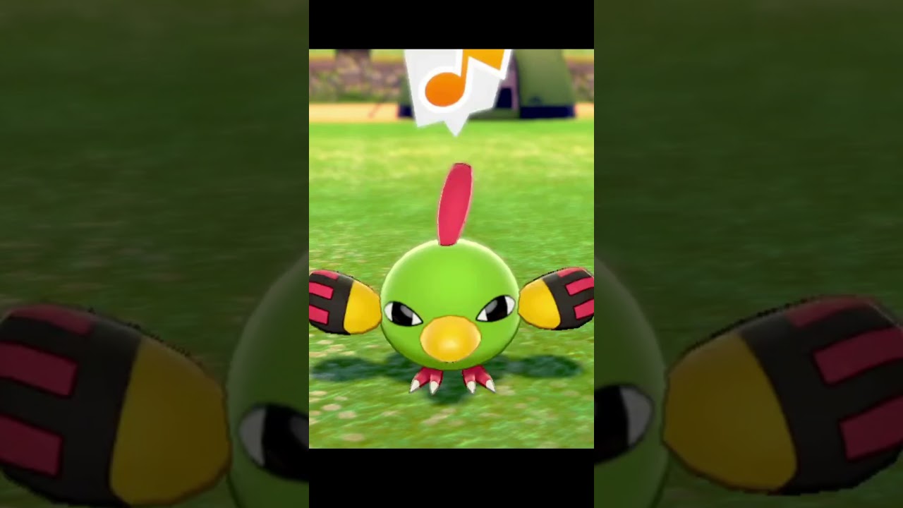 ネイティの羽音　#Shorts