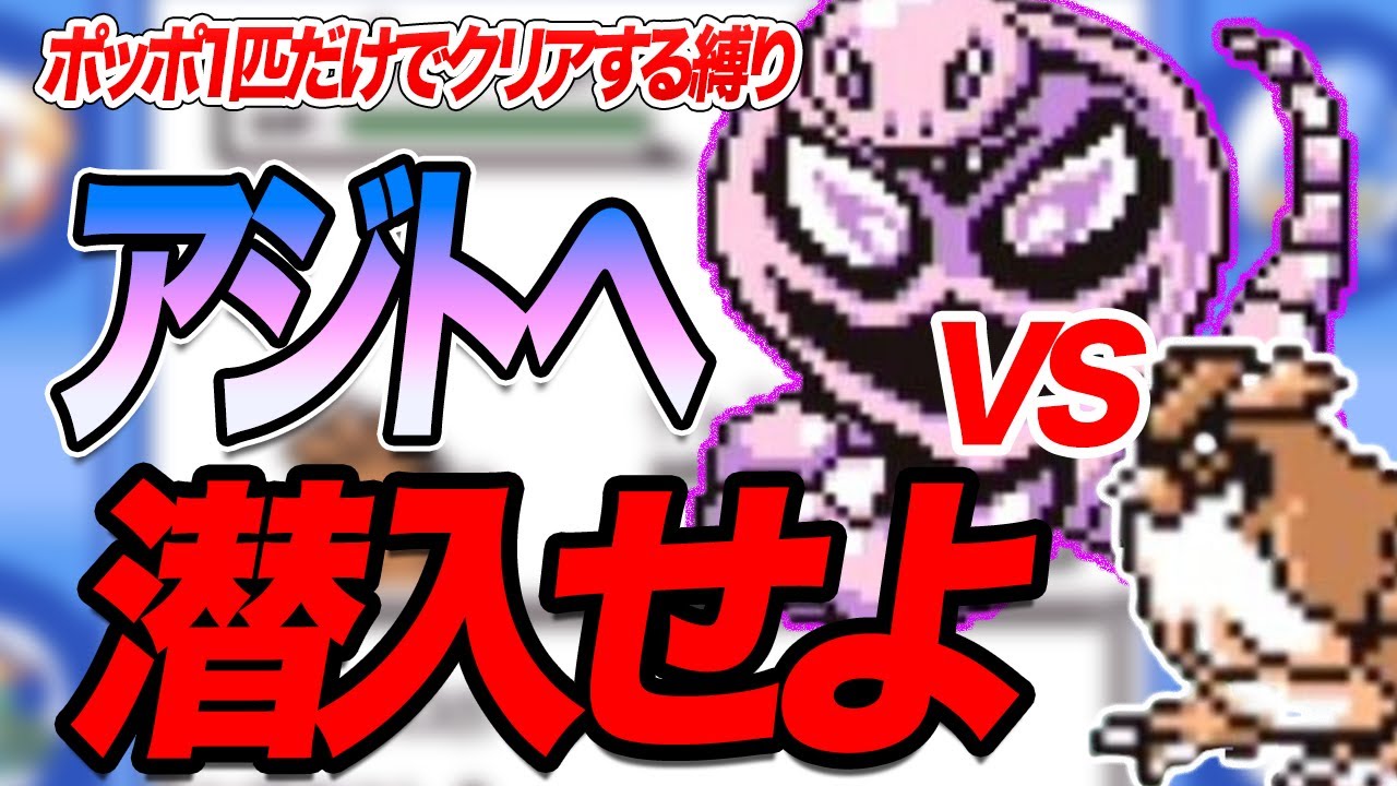 #9【無理ゲー】ポッポだけで全クリアするポケモン青【ロケット団アジトへ潜入】【ゲーム実況】【縛りプレイ】