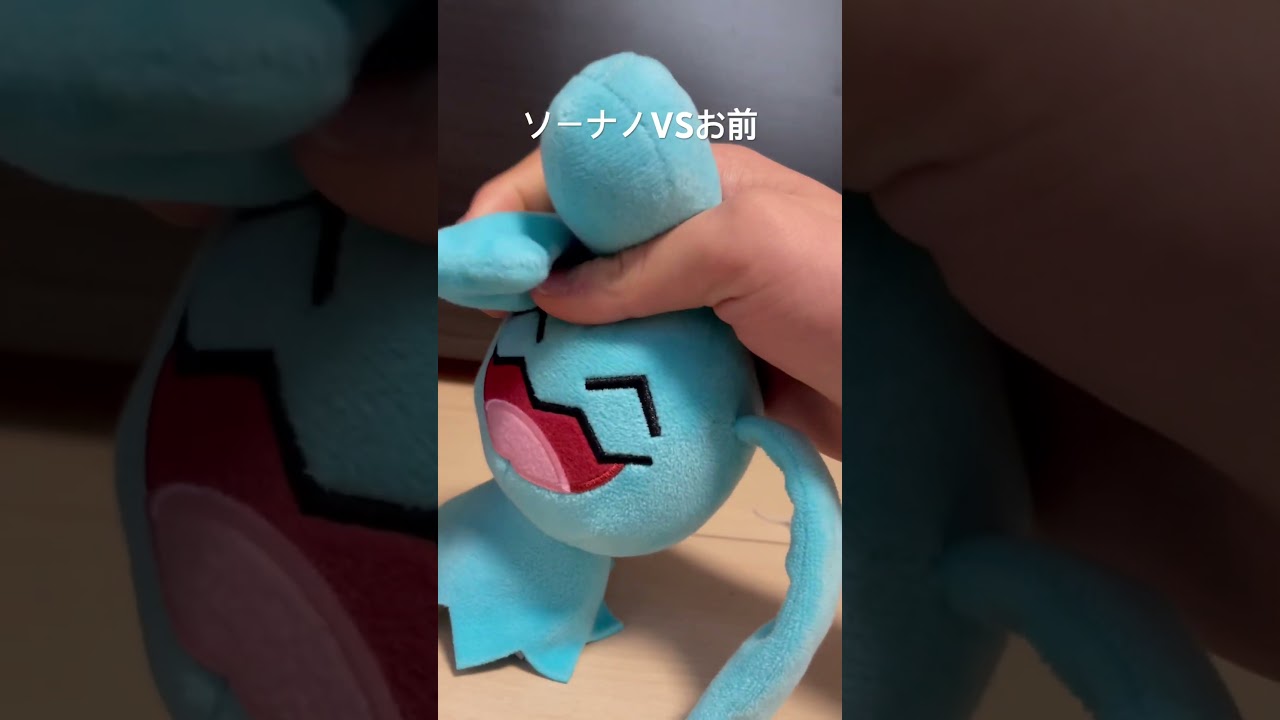 ソーナノVSお前