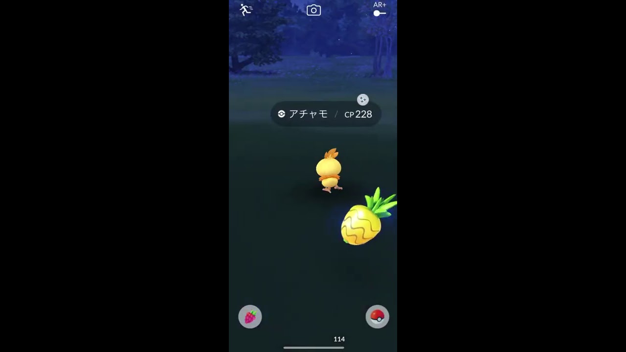 【ポケモンGO】色違い アチャモ ゲット✨
