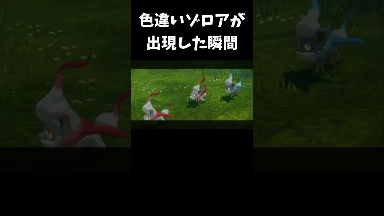色違いゾロア が 出現した瞬間【ポケモンアルセウス】#shorts