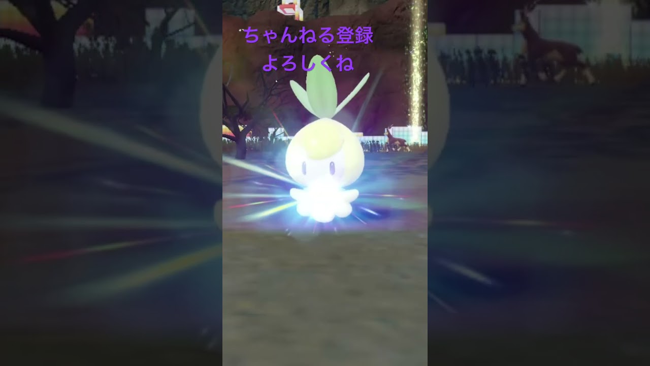 色違いチュリネ進化！ #ポケモン #色違いポケモン #ポケモンsv
