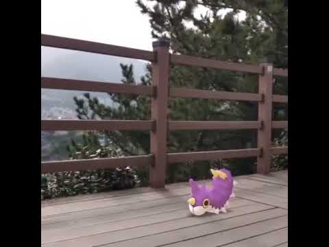 개무소 ( Wurmple ) ケムッソ ( 刺尾蟲 )