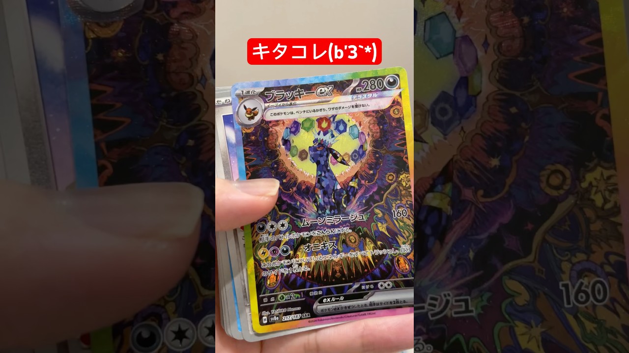 とうとうブラッキー来たか？ #イーブイの日 #テラスタルフェスex