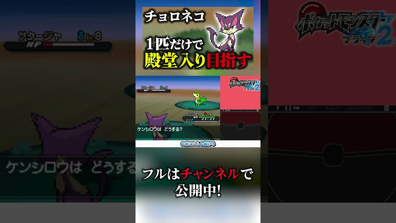 チョロネコ1匹だけに立ちはだかるライバル #ポケモン #ポケモンbw2