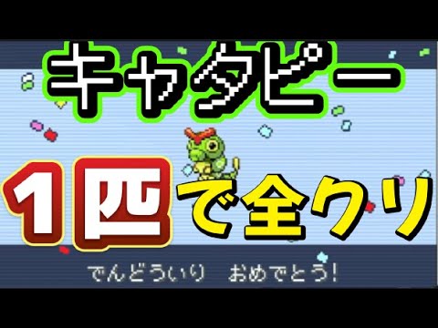 【ポケモン実況】キャタピー1匹でポケモンリーフグリーン全クリ達成！【配信切り抜き】