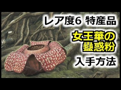 【モンハンワイルズ】レア度6 特産品 女王華の蠱惑粉 入手方法 クイーンラフレシア 東の地の探検隊『モンスターハンターワイルズ』