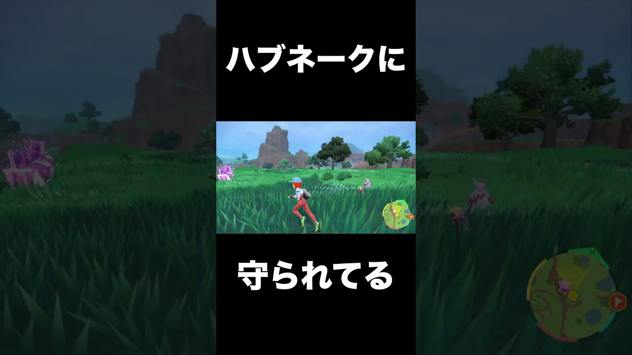 電源の切れたザングース#shorts