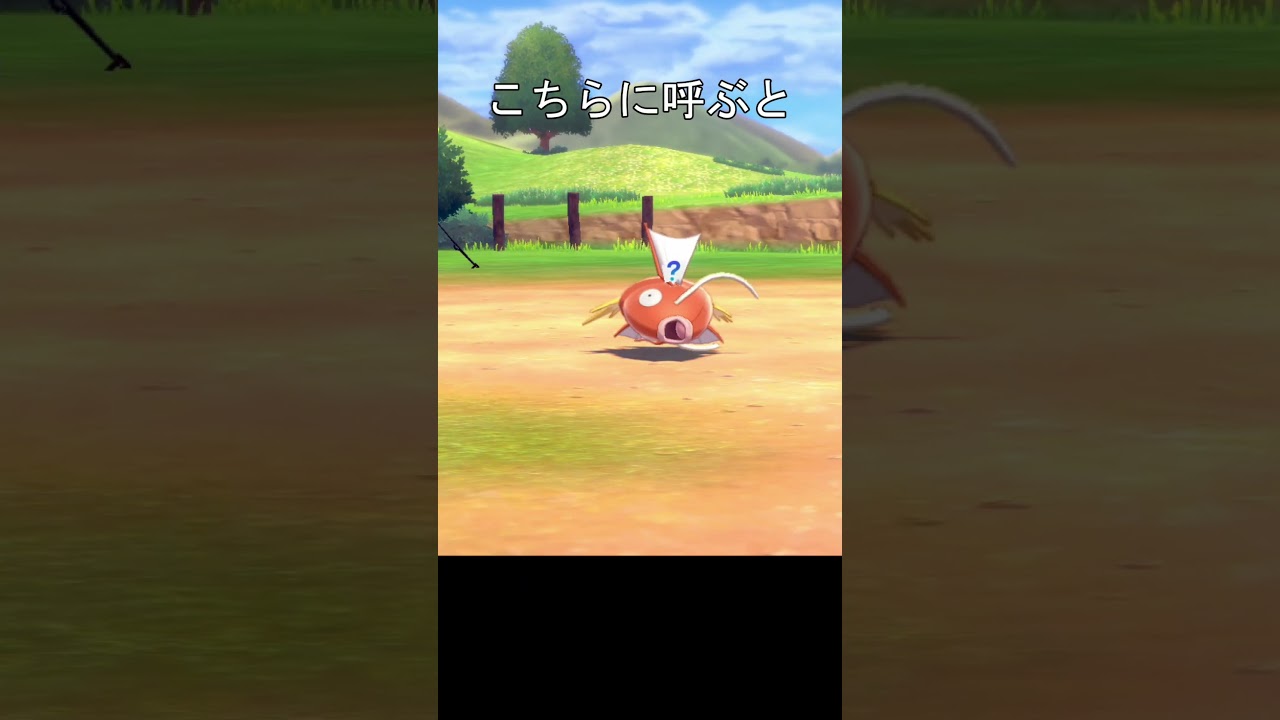浮くコイキング　#ポケモン #ポケモン剣盾 #コイキング