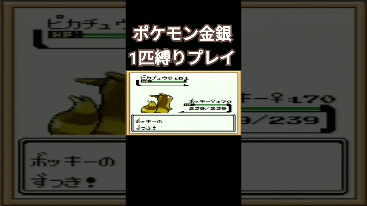 【ポケモン金銀】ポケモン金銀1匹縛りプレイ!!オタチver【縛りプレイ】#ポケモン金銀 #縛りプレイ #オタチ #オオタチ #ゲーム実況