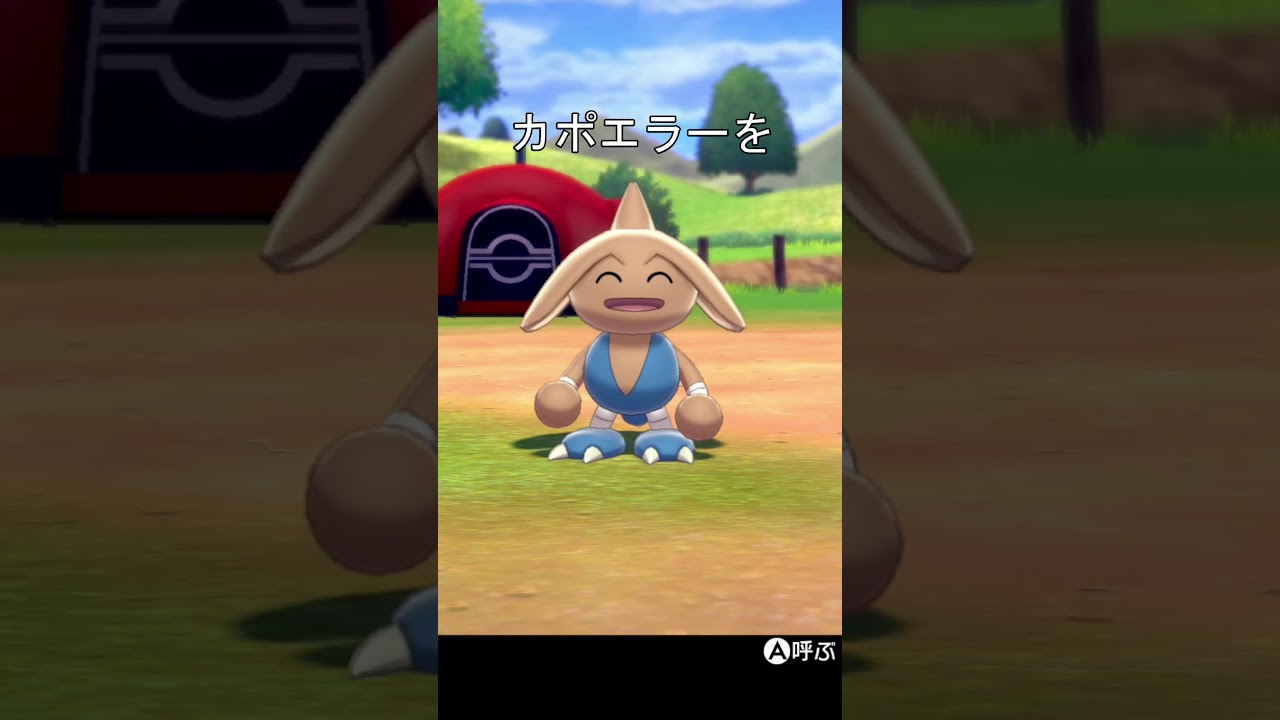 回転するカポエラー　#ポケモン #ポケモン剣盾 #カポエラー
