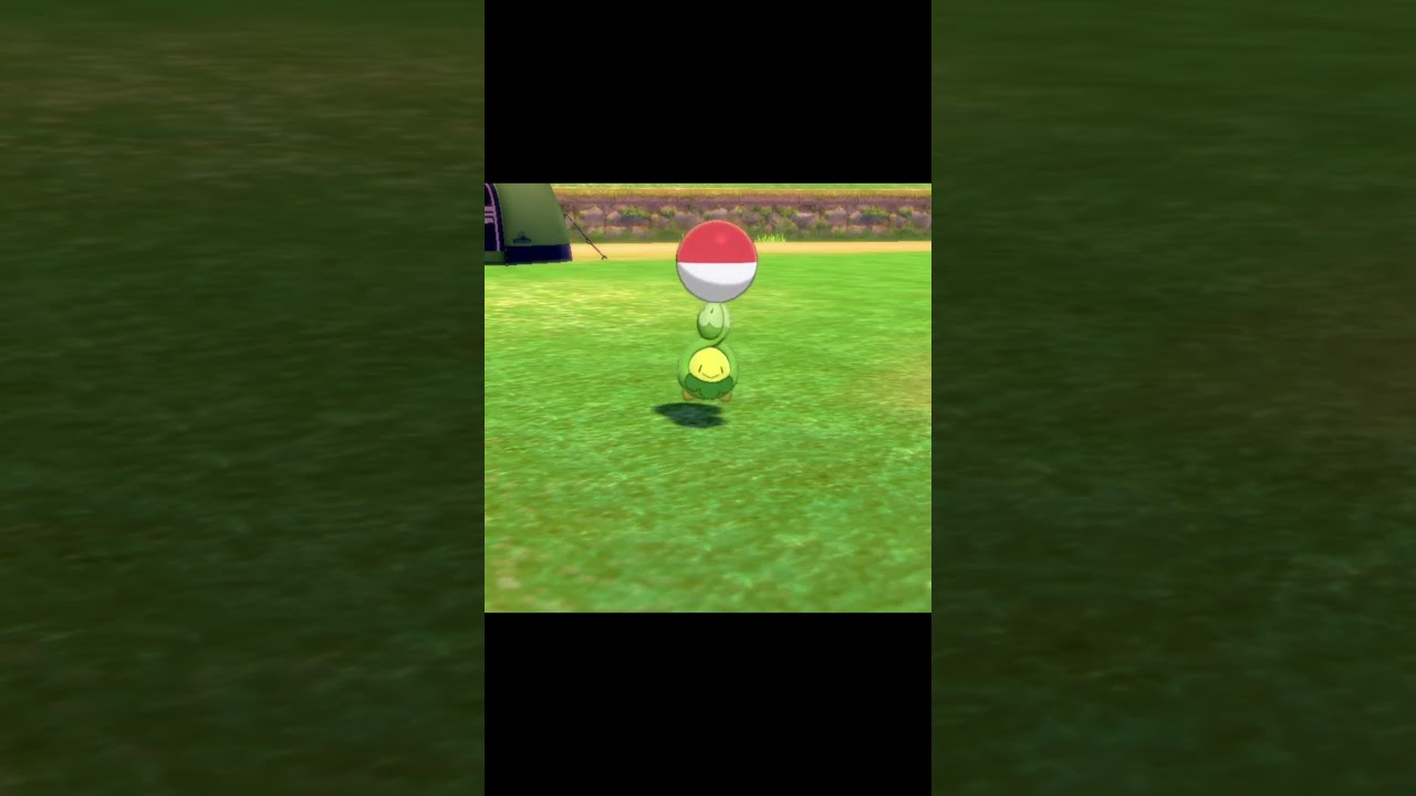 ボールを持って駆け寄ってくるスボミー　#Shorts