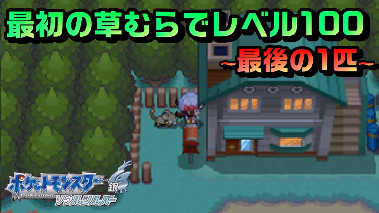 最初の草むらでレベル100になるコラッタ【ポケモンHGSS】