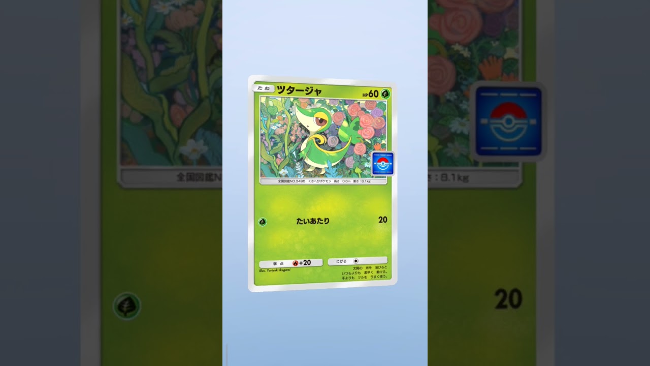 最新イベントでGET出来るツタージャ初ゲット！カメックス4枚と言う呪縛から解放された😂毎日神引きday🎯！！Pokemonカードゲーム　ポケポケ【無課金攻略】