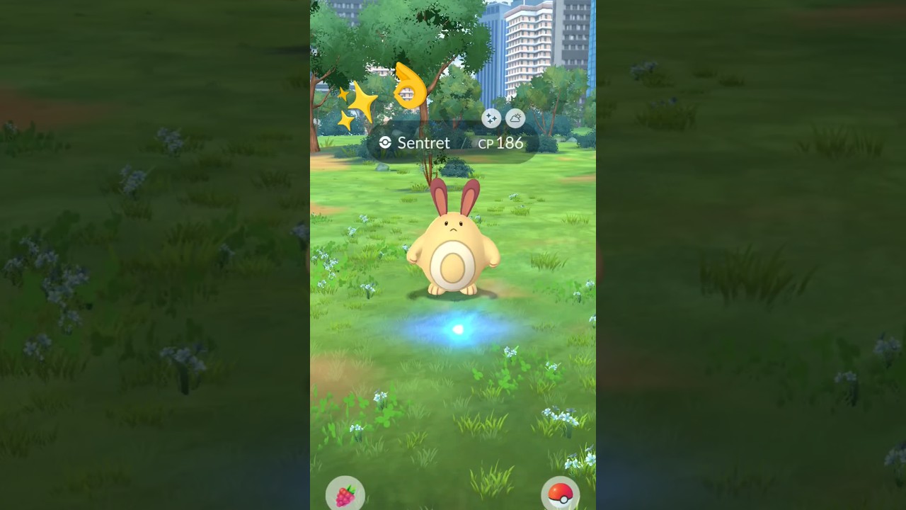 Caught the shiny sentret in ...... Pokemon go #shortvideo #shorts #youtubeshorts