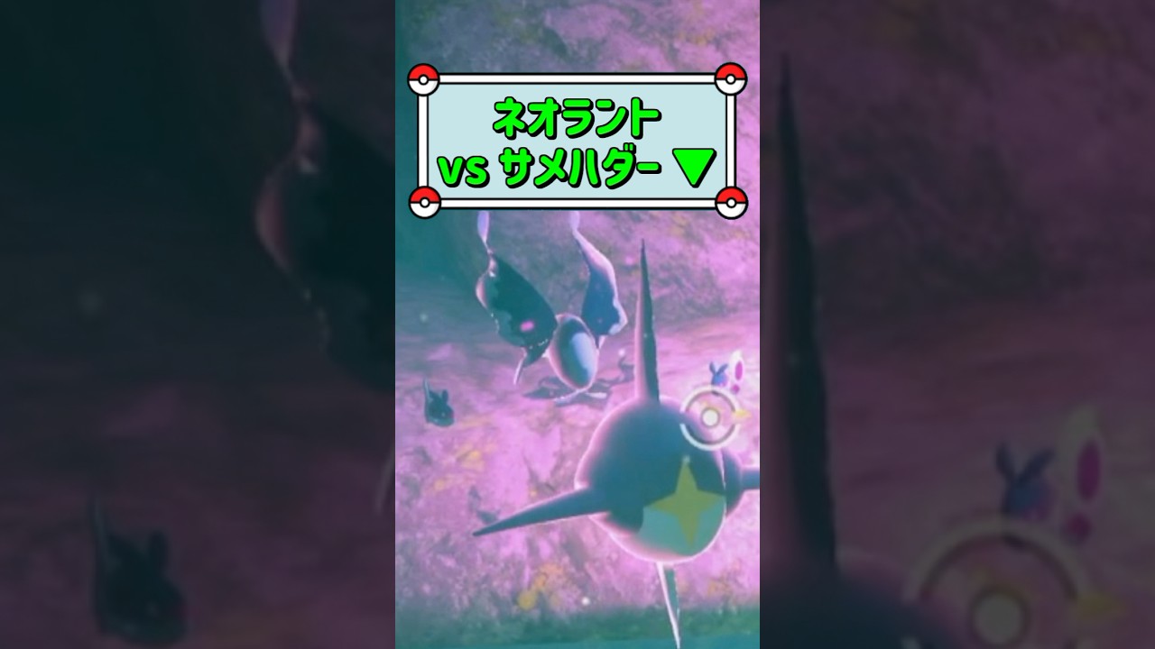 「ネオラント vs サメハダー ▼」　#ポケモン　#ポケモンスナップ　#ポケスナ　#shorts
