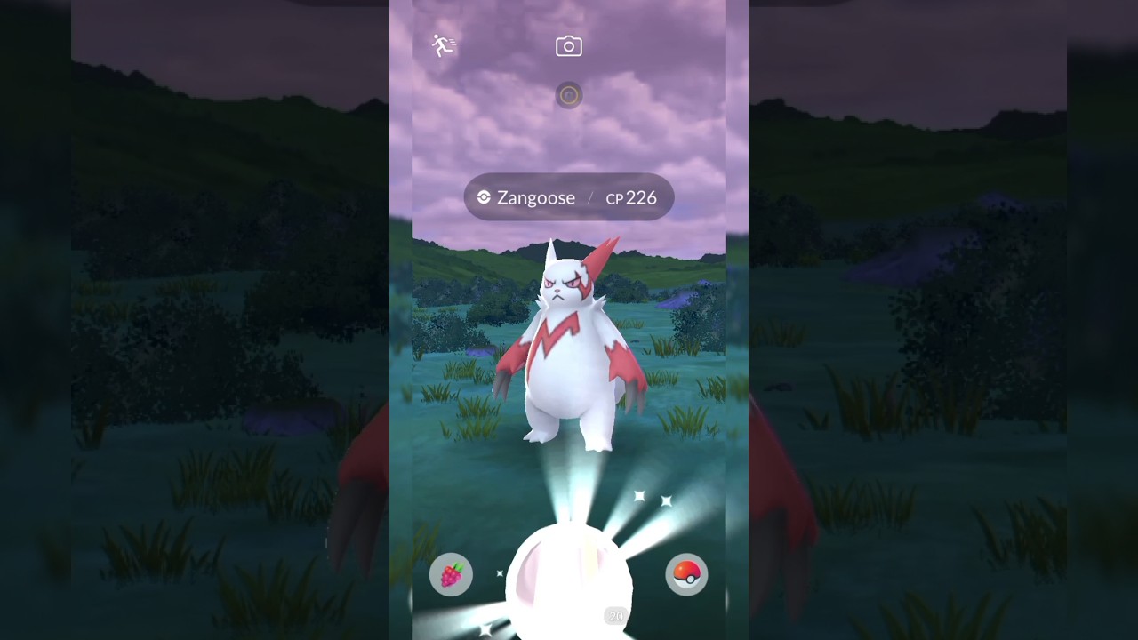 Pokemon Go Catching a 226cp Zangoose with ultra ball #pokemongo #pokemon