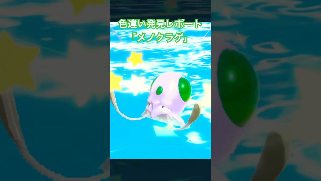 ポケモンレジェンズアルセウス 色違い発見レポート「メノクラゲ」　#色違い　#legendsアルセウス