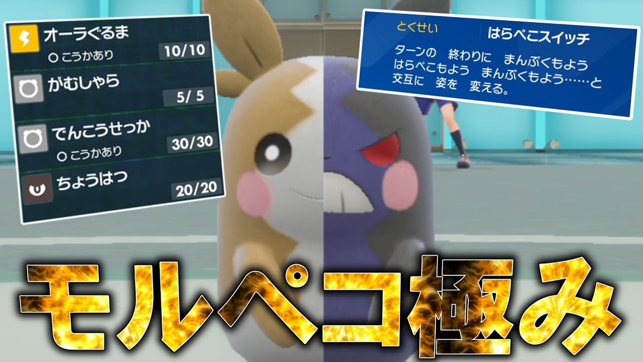 まさにモルペコ極み。結果を残した構築の「モルペコ」が強すぎる件。【ゆっくり実況】【ポケモンSV】