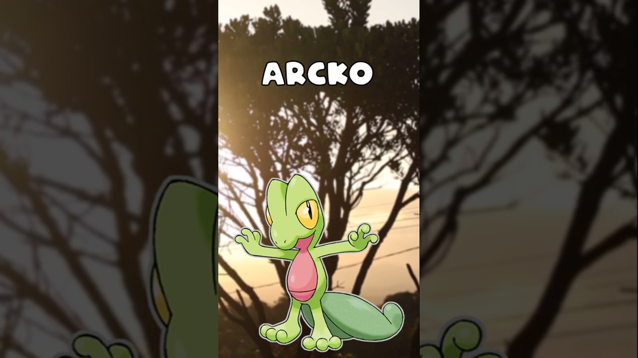 Arcko, Massko et Jungko !