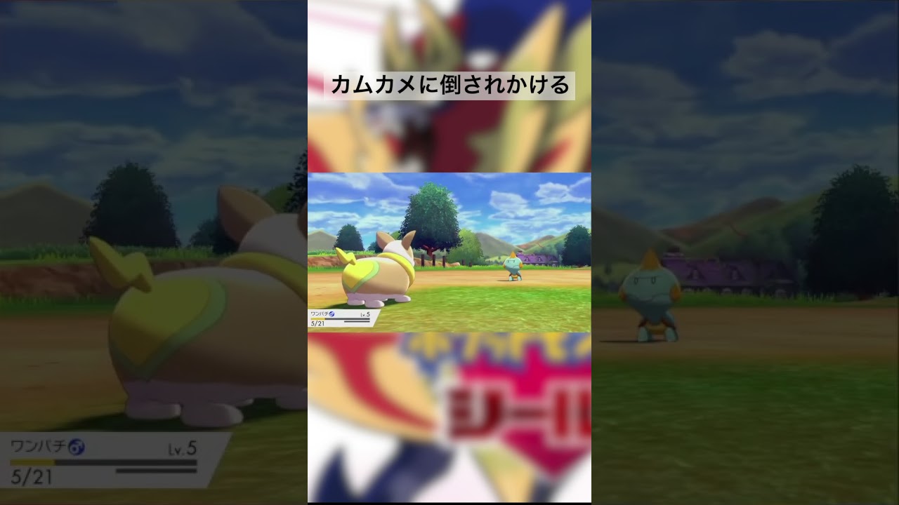 カムカメに倒されかけるw #ポケモン剣盾 #ポケモン配信 #ポケモン #ゲーム実況 #配信切り抜き #pokemon