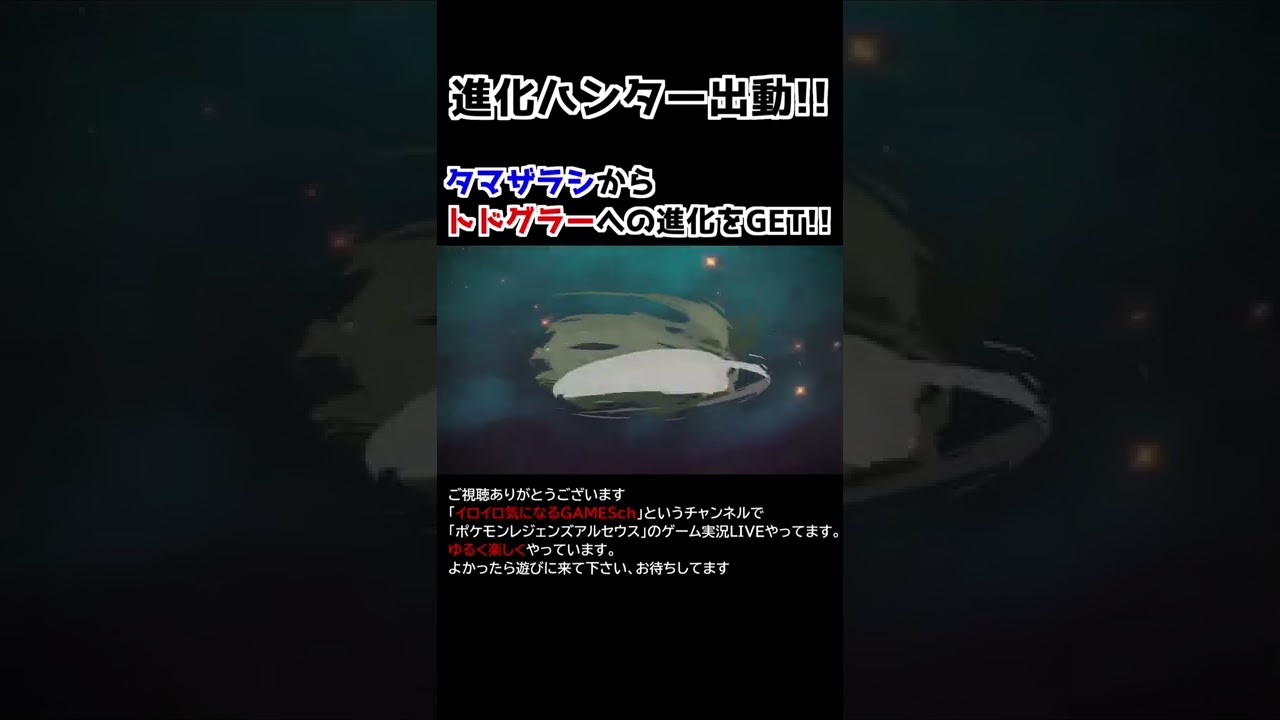 タマザラシ→トドグラー進化【Pokémon LEGENDS アルセウス】【進化ハンター】
