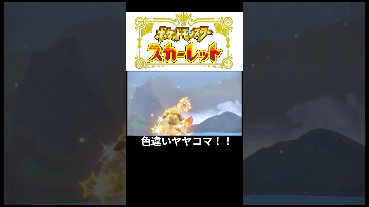 色違いヤヤコマGETする父#ポケモン#ポケモンsv #ポケモンスカーレット#ゲーム#ゲーム実況#ゲーム配信#参加型#初心者#ゲーマー夫婦#switch#shorts