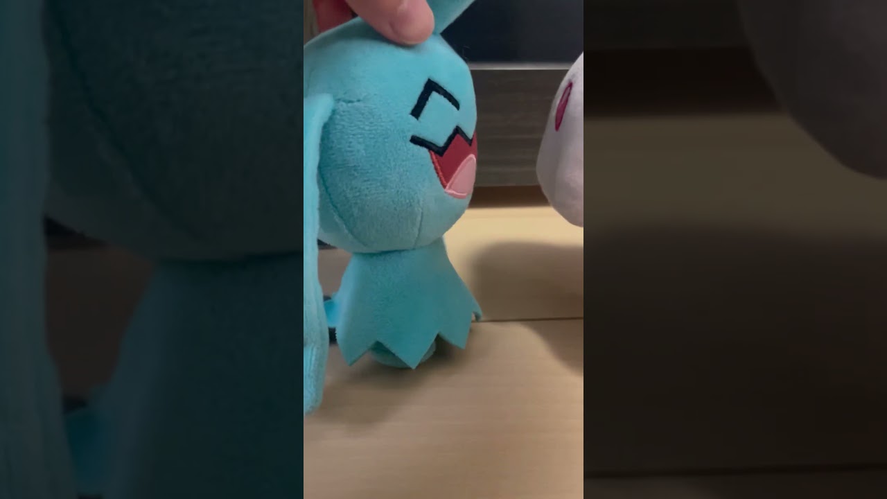 ソーナノのみちづれ！！