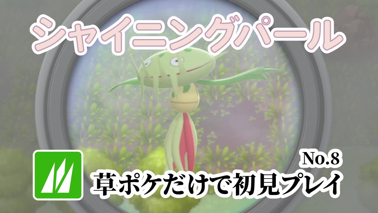 草ポケモンだけで初見シャイニングパール No.8 2025/3/20