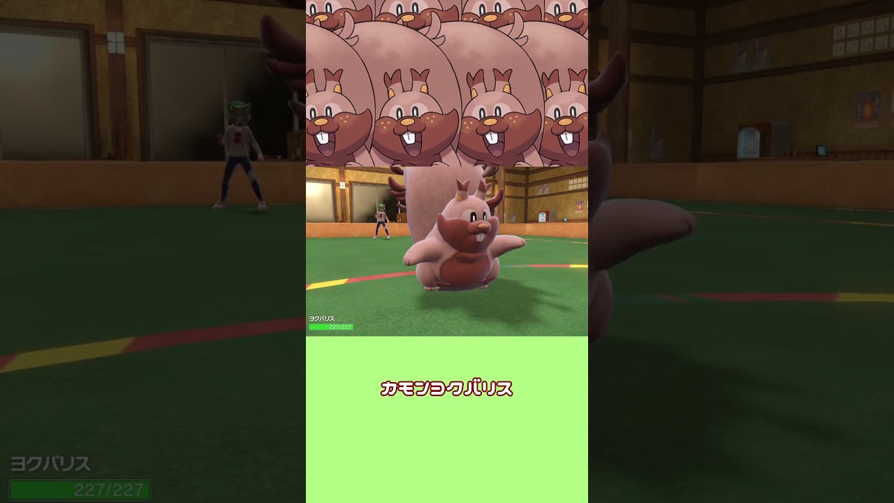 厨パ相手にヨクバリス無双【ゆっくり実況】 #ゆっくり実況 　#shorts #ポケモンsv