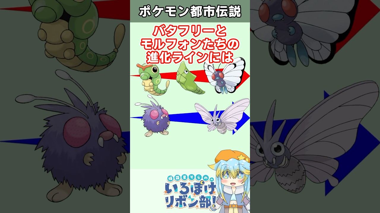 【都市伝説】初代虫ポケのバタフリーとモルフォンたちには、衝撃的な噂が…！？【ポケモン】 #Shorts #雑学