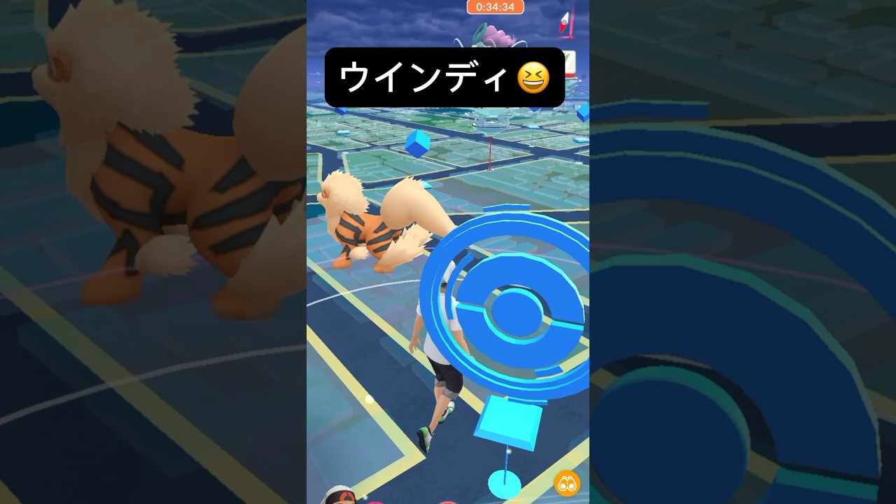 【ポケモンGO】ウインディが現れた!!【✨Arcanine Pokémon GO X Pokemon Card Artwalk✨】