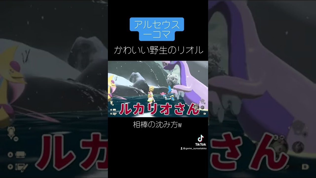 【Pokémon LEGENDS アルセウス】仲間に入りたい！野生のリオルのかわいいアピール！//アテレコ//ストーリー中心//　#shorts