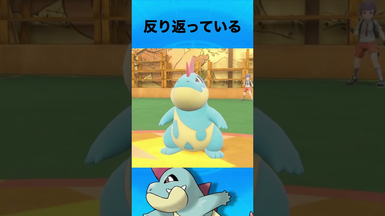 アリゲイツについて #ポケモン #アリゲイツ