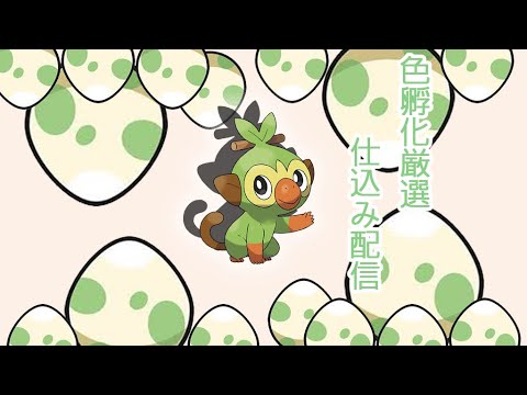【ポケモンSV＃男性実況者】サルノリ孵化厳選配信