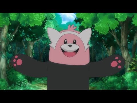 Get Carried Away with Bewear!