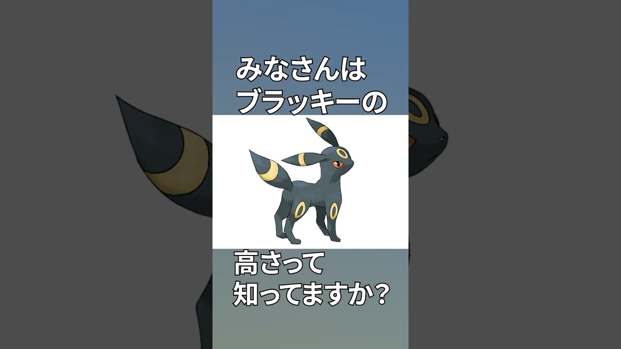 【アニポケ】ブラッキーの高さって知ってますか？ #Pokémon #ポケットモンスター  #アニメ  #ポケモン  #雑学 #shorts #ポケモンカード #解説 #感想
